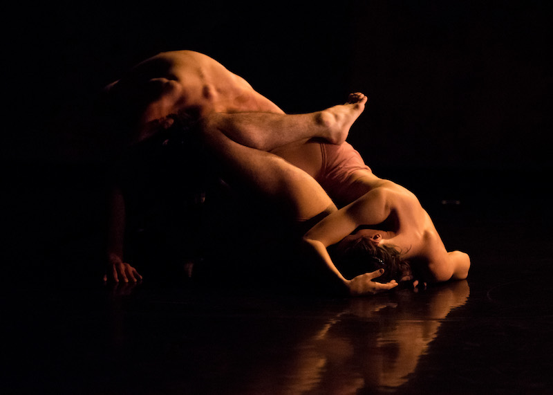 Two naked bodies intertwined on the floor; their faces are hidden